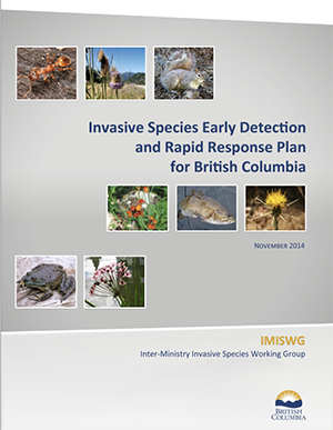 image of the invasive species early detection plan PDF